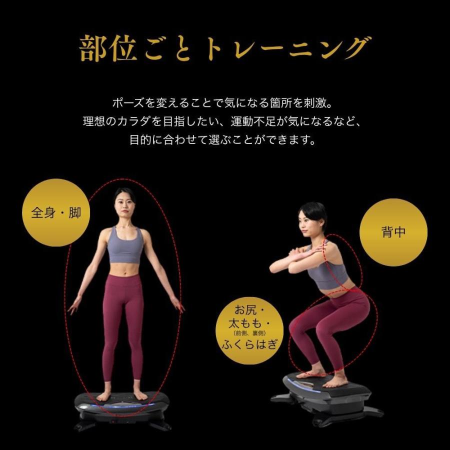 ドクターエア（DOCTORAIR） ステッパー 3Dバランスブレード SB-07 静音