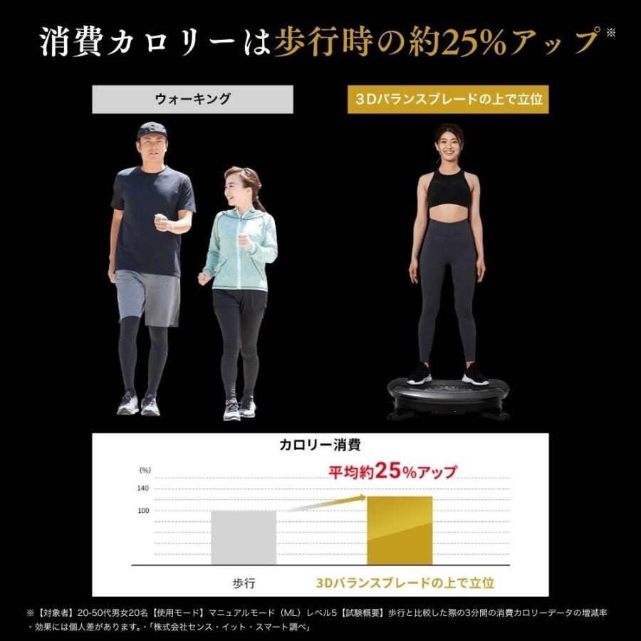 ドクターエア（DOCTORAIR） ステッパー 3Dバランスブレード SB-07 静音