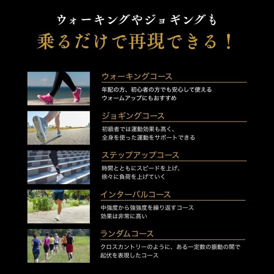 ステッパー ドクターエア 3Dバランスブレード SB-07 静音 ダイエット ブルブル振動マシン 振動マシン ライザップ RIZAP 父の日 爆買 | ドクターエア | 12