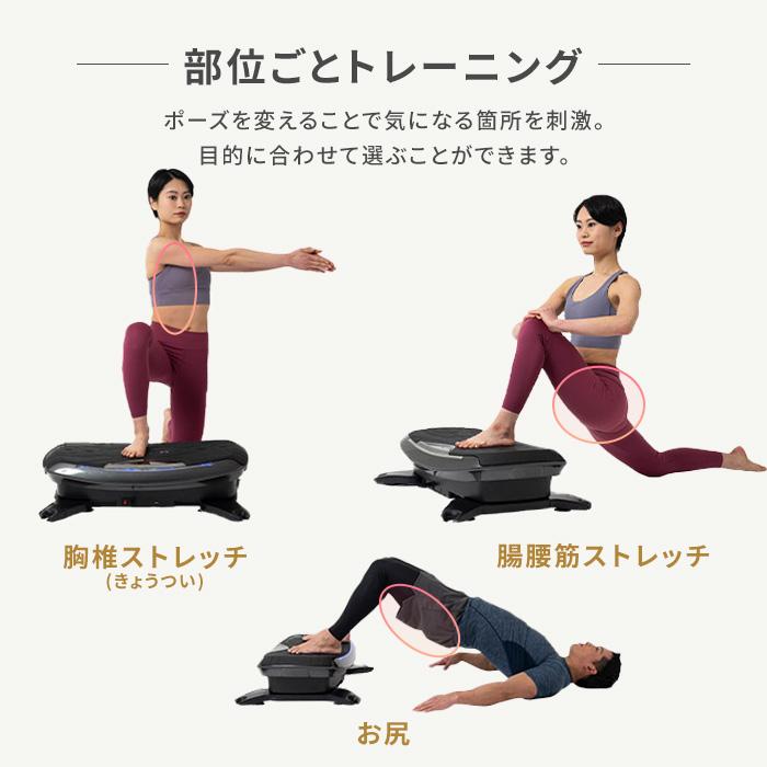 ステッパー ドクターエア 3Dバランスブレード SB-07 静音 ダイエット ブルブル振動マシン 振動マシン ライザップ RIZAP | ドクターエア | 15