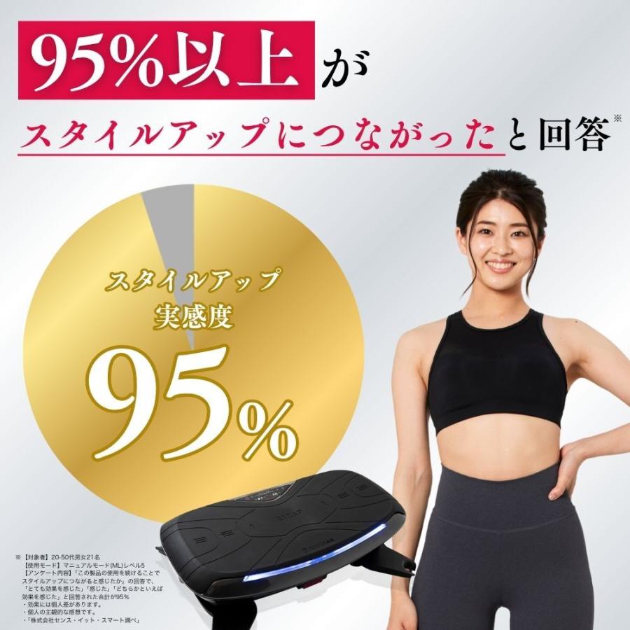 ドクターエア（DOCTORAIR） ステッパー 3Dバランスブレード SB-07 静音