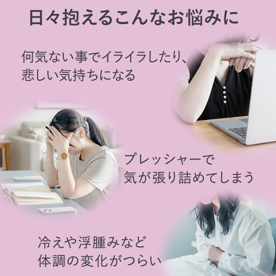 耳栓 ドクターエア Doctorair ME イヤラボ mini SEL-02 睡眠 睡眠用 耳 温める 温め 温活 冷え性 グッズ | ドクターエア | 07