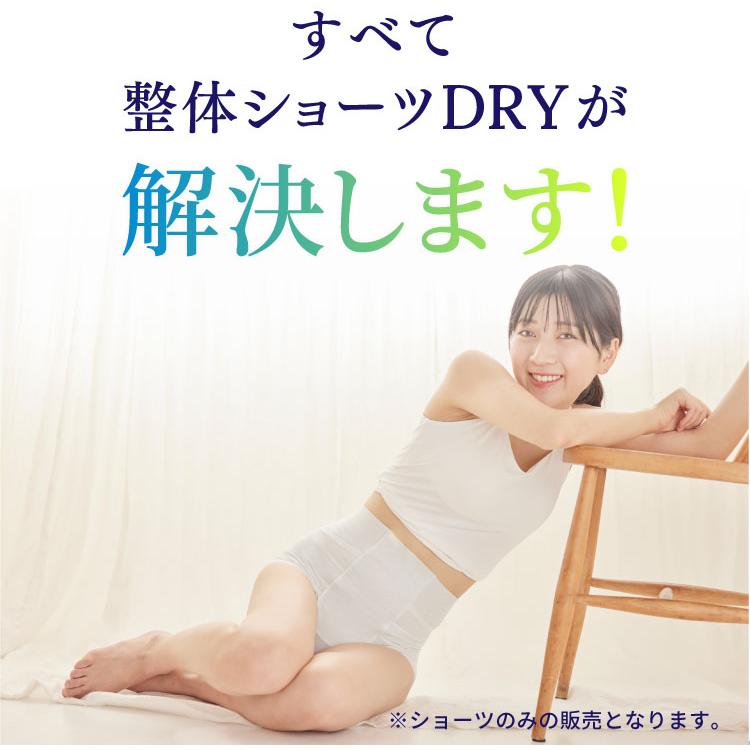 整体ショーツ DRY ドライ 通気性 ムレにくい 反り腰 骨盤 矯正 グッズ レディース ショーツ 苦しくない はくだけ 楽ちん 補正下着 お腹 引き締め 1枚ばき｜bodysprout｜04