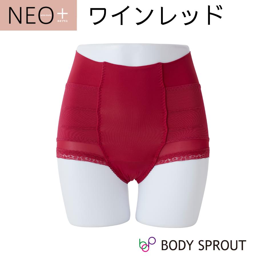 はくだけ整体 爆買 補正下着 整体ショーツNEO+ 骨盤ショーツ 姿勢 美