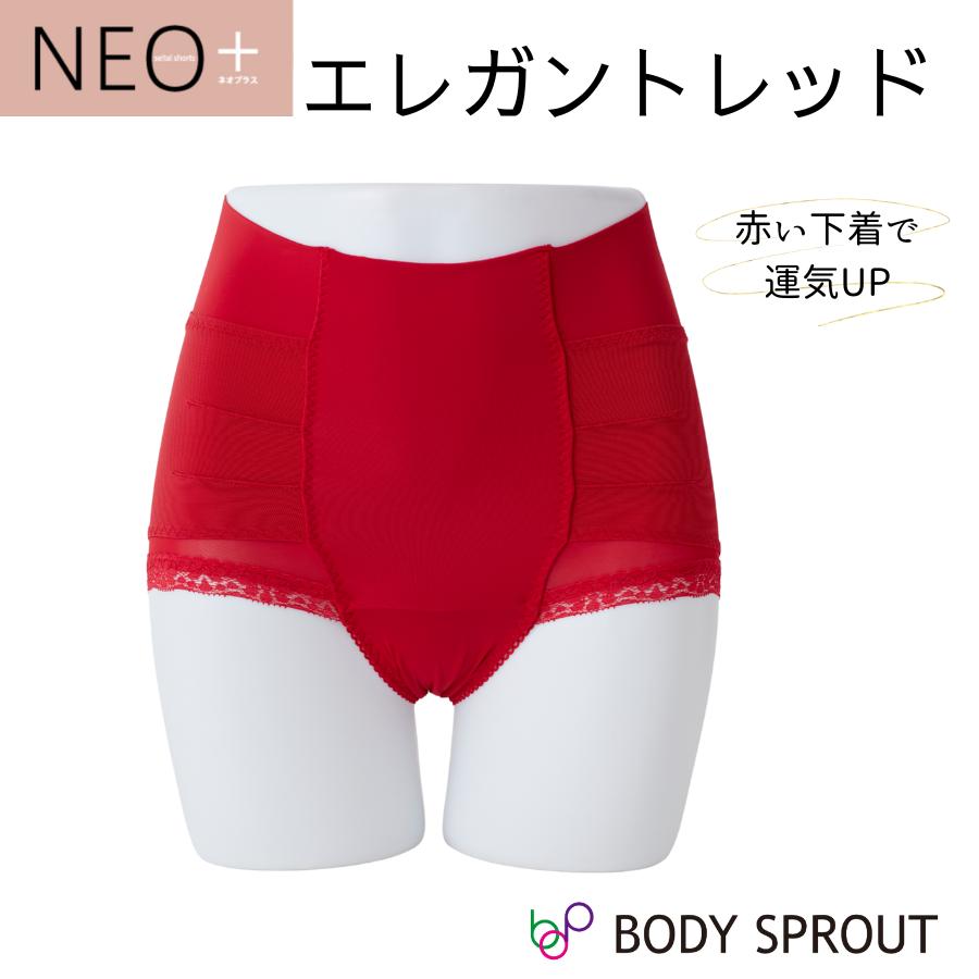 はくだけ整体 爆買 補正下着 整体ショーツNEO+ 骨盤ショーツ 姿勢 美