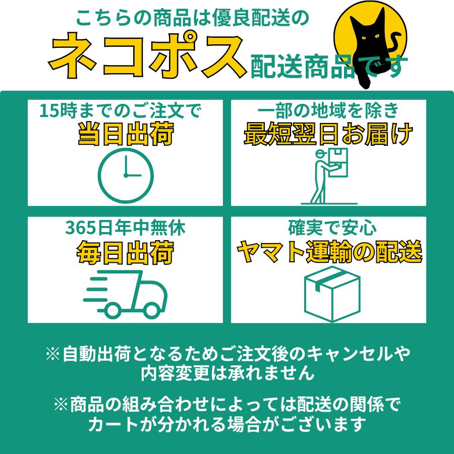 はくだけ整体 整体キャミ REI レイ 反り腰 猫背 巻き肩 姿勢 はくだけ整体 整体キャミ REI レイ 反り腰 猫背 巻き肩 姿勢