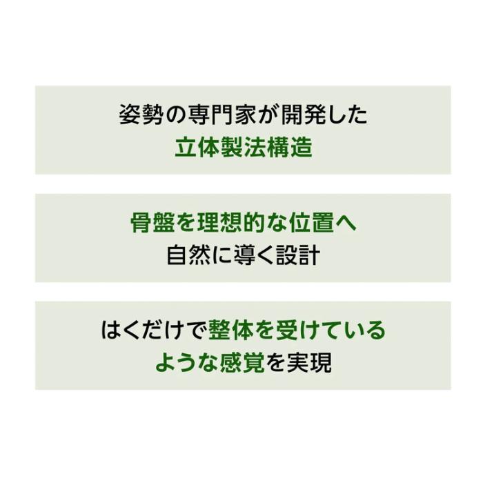 整体パンツZEROBotanic 補正下着 腰サポート下着 腰痛 骨盤 反り腰 姿勢 矯正 グッズ コルセット 要らず 苦しくない　_8