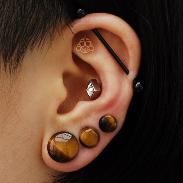 天然石ピアス ボディピアス 早い者勝ち 8g 6g 4g 2g タイガーアイ シングルフレア パワーストーン 拡張ピアス 1000c641 Bodywell 通販 Yahoo ショッピング