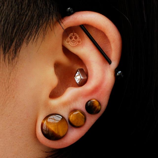ボディピアス 0G 00G 12mm 13mm 14mm 早い者勝ち タイガーアイ 