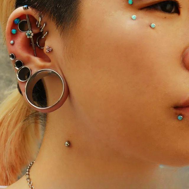 フレッシュトンネル トンネル ボディピアス 12mm 〜 20mm サージカルステンレス316L 銀 黒 オーロラ bp410 : 青い目 - 通販  - Yahoo!ショッピング 28mm ブラックゲージ 耳トンネルプラグイヤリング用 316L サージカルステンレススチール ダブルフレア 内部ねじ込み耳 トンネ