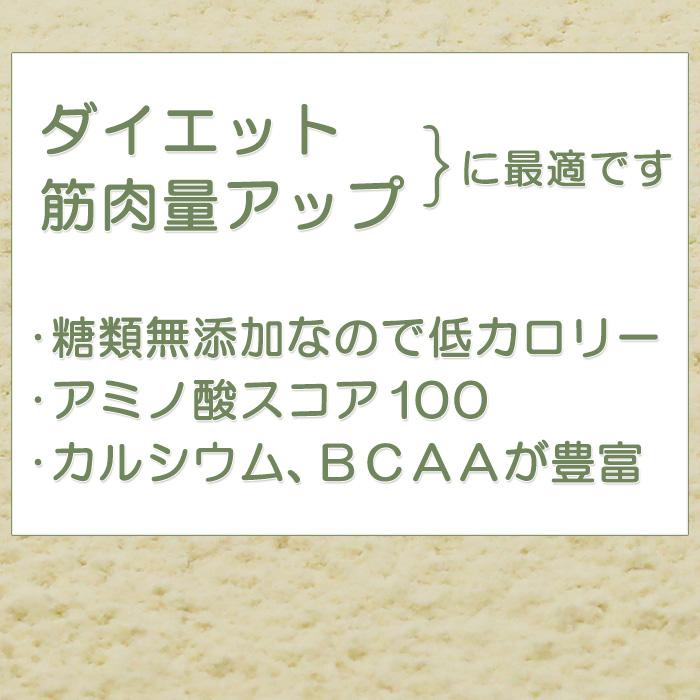 大豆プロテイン3kg 無添加プレーン 日本国内精製 ボディウイング | ボディウイング | 03