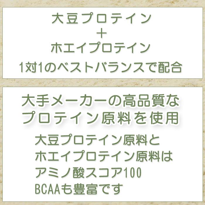 ツインたんぱく 大豆＋ホエイ いいとこ取りプロテイン チョコレート3kg ボディウイングの画像
