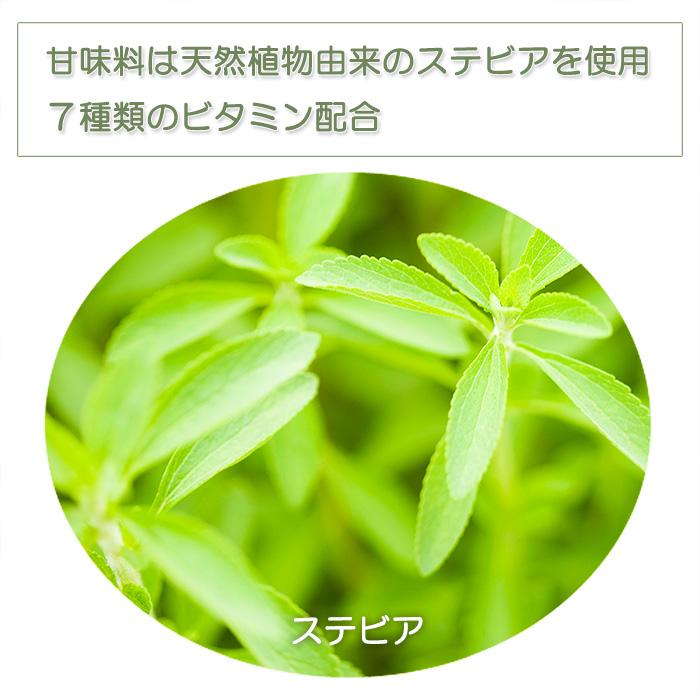 ツインたんぱく 大豆＋ホエイ いいとこ取りプロテイン チョコレート3kg ボディウイングの画像