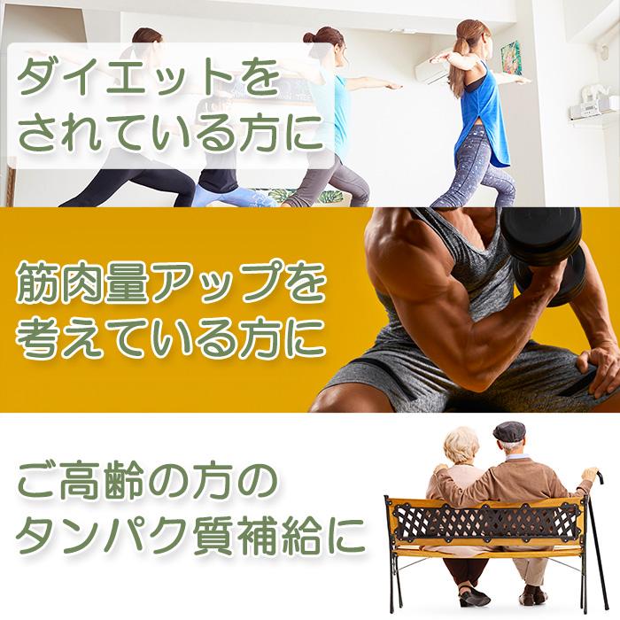 ボディウイング 大豆プロテインプレミアム チョコレート風味3kg