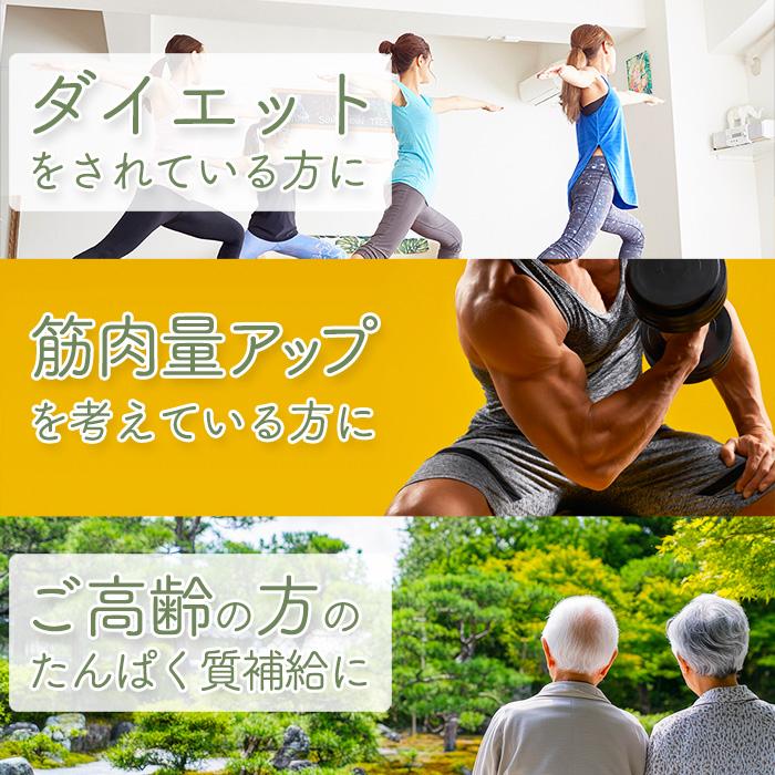 ボディウイング ホエイプロテイン ヨーグルト 1kg : 公式ボディ