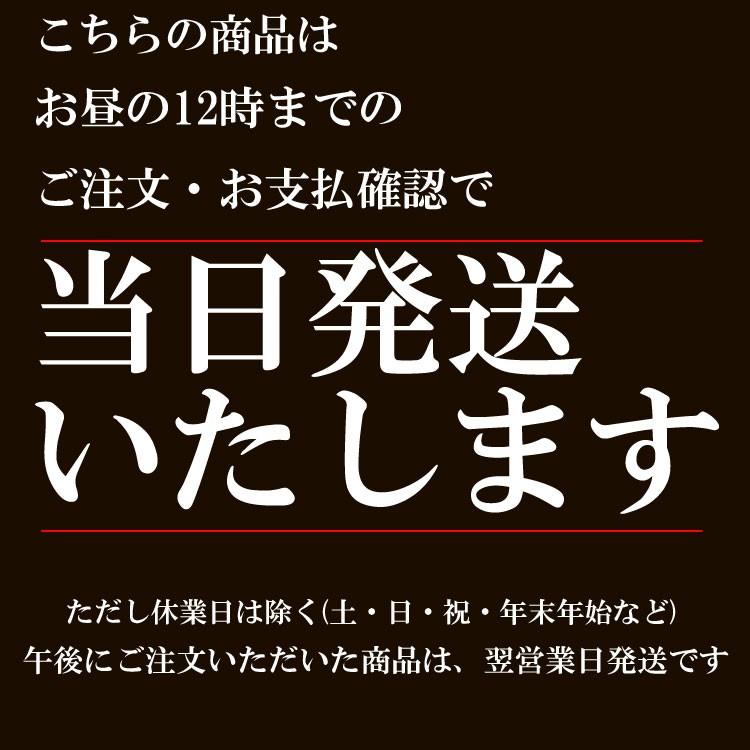 スノー チェーン 非金属 取り付け 簡単 ジャッキ不要 雪道 凍結 スリップ 低振動 低騒音 安全 TPU製 左右セット 一式セット｜boi-shop｜13