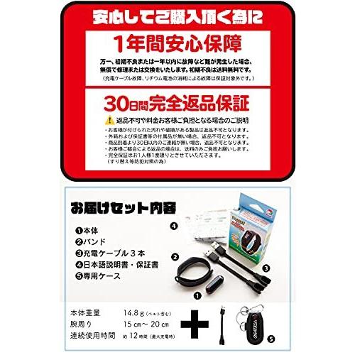 殿堂 Go Pokemon ポケットオートキャッチ 用 ポケモンgo Brook Plus Poc Trykeオリジナルパッケージ 日本語説明書 互換 プラス ボードゲーム Hakunamatatagrill Com