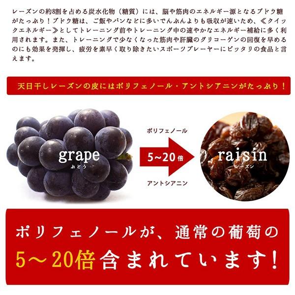 ドライフルーツ レーズン 麗しのレーズン ノンオイル 850g 無添加 訳あり 無選別 不揃い カリフォルニア 送料無料 干しぶどう｜bokunotamatebakoya｜09