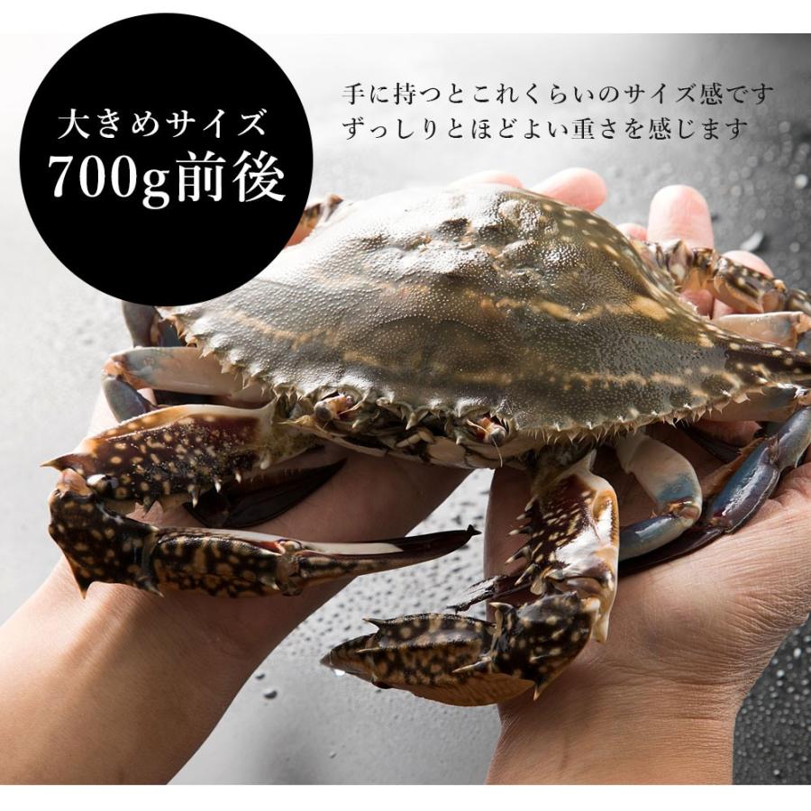 数量期間限定 活 瀬戸内 渡り蟹メス 水揚げ直送品 蟹 カニ かに わたりがに 瀬戸内海 生 数量限定 A Cp ぼくの玉手箱屋ー 通販 Yahoo ショッピング