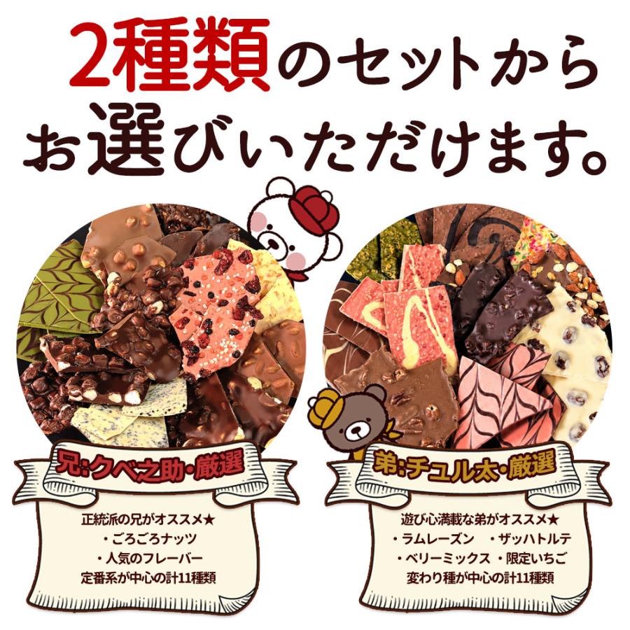 大浜スイーツアカデミー 割れチョコ 「感動の11種類割れチョコMIX