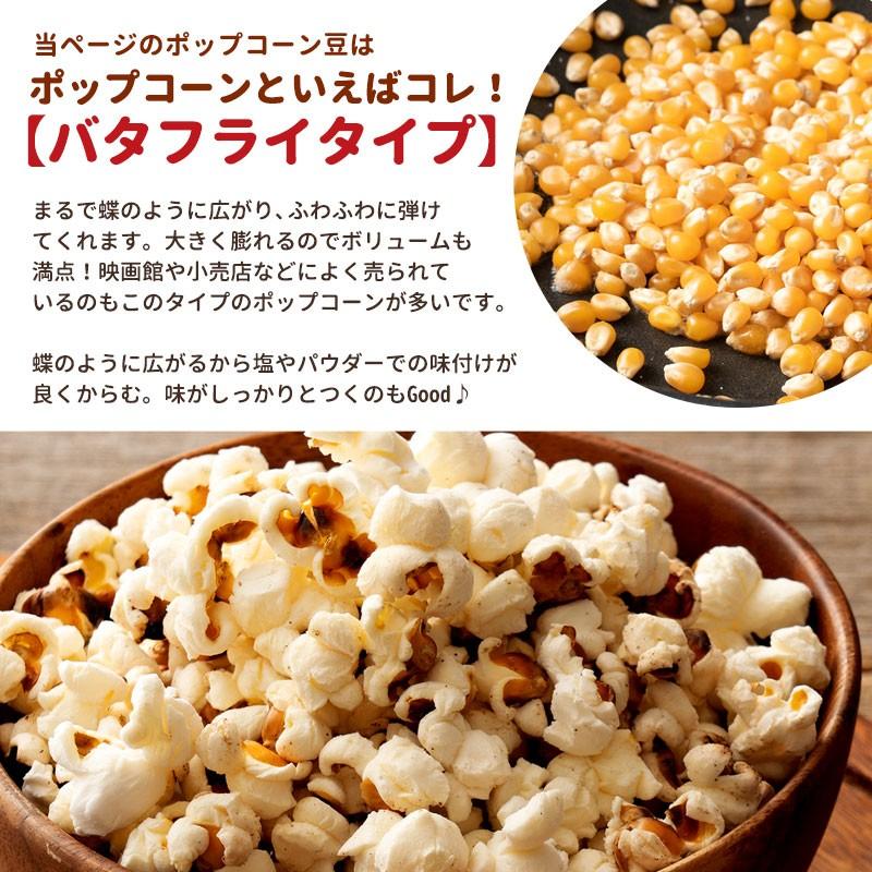 ポップコーン豆 バタフライタイプ 850g 約42人分 送料無料 業務量 ポイント消化 おやつ パーティー セール Sale H ぼくの玉手箱屋ー 通販 Yahoo ショッピング