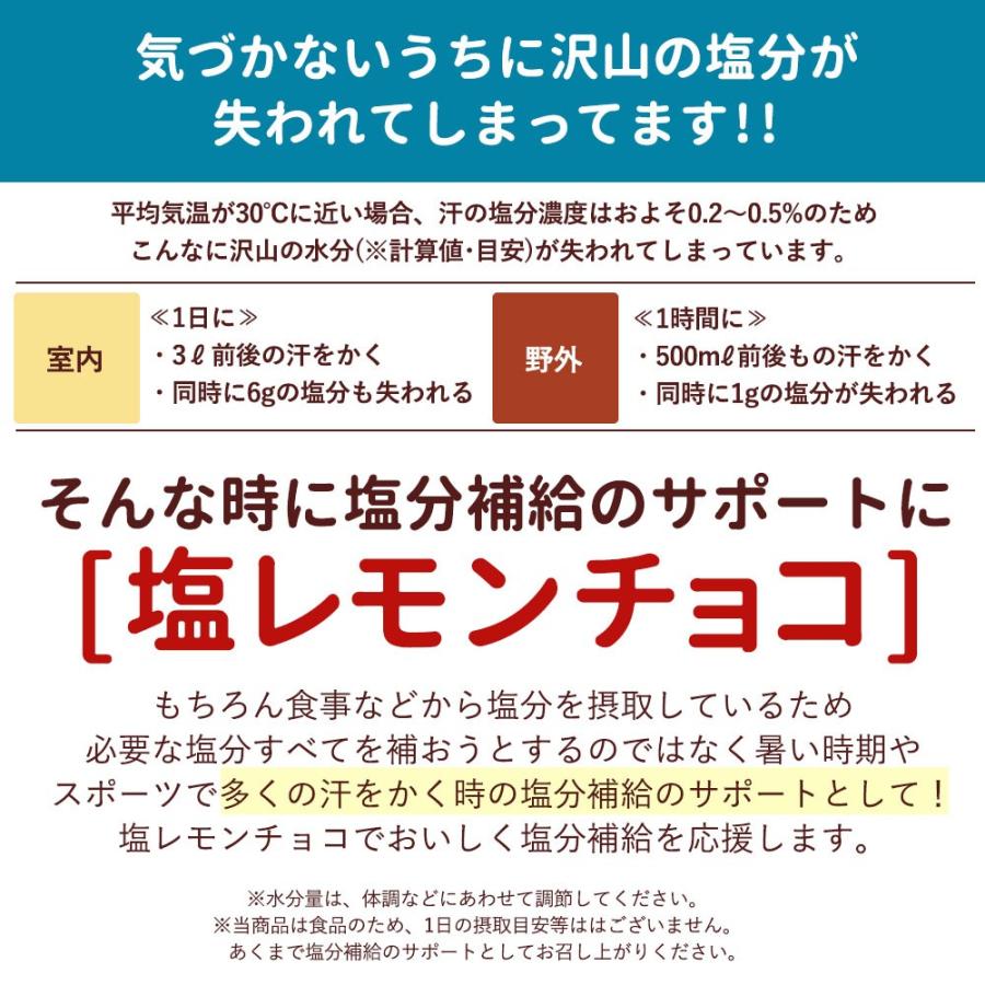 オートミール チョコレート 塩レモンチョコ 100g 送料無料 溶けない レモン 耐熱 熱中症 H11000160 ぼくの玉手箱屋ー 通販 Yahoo ショッピング