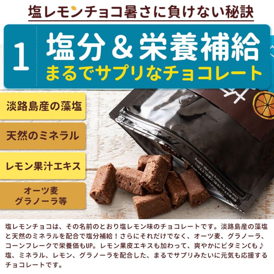 オートミール チョコレート 塩レモンチョコ 100g 送料無料 溶けない レモン 耐熱 熱中症 H11000160 ぼくの玉手箱屋ー 通販 Yahoo ショッピング