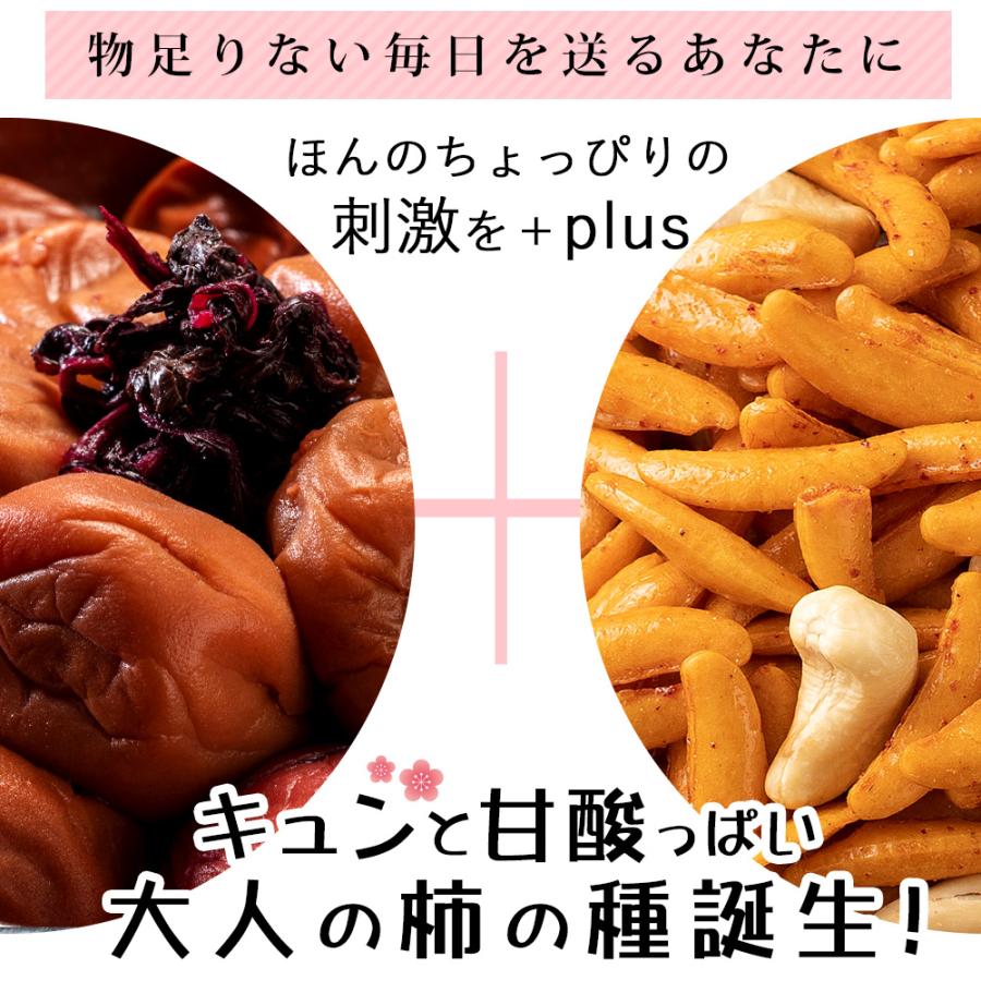 スイーツ お菓子 山盛り柿の種とカシューナッツ 梅しそ味 500g カシューナッツ 柿の種 送料無料 大容量 訳あり おやつ おつまみ ポイント消化｜bokunotamatebakoya｜02