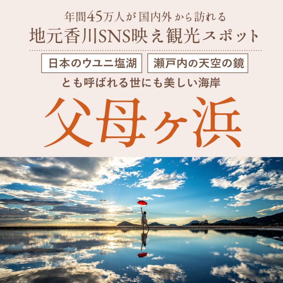 ナッツ ミックスナッツ ドライみかん入り 父母ヶ浜ミックスナッツ 250g 送料無料 ミックスナッツ ドライフルーツ｜bokunotamatebakoya｜04