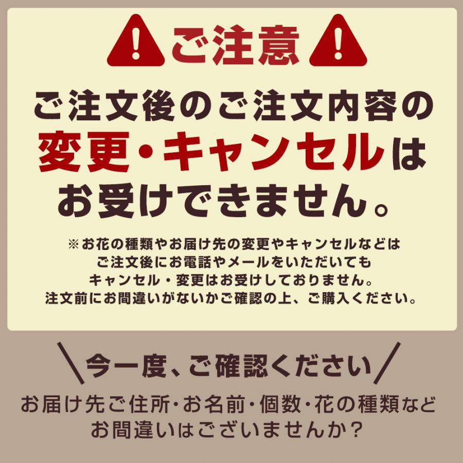 プレゼント 送料無料 母の日限定 選べる花鉢 クマちゃんマドレーヌ 花 鉢植え ギフトセット お菓子 スイーツ カーネーション ギフト 21人気特価