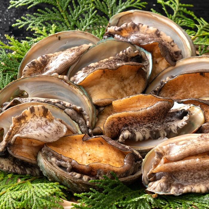 大浜スイーツアカデミー あわび オリーブあわび 1kg 11〜12個 目安 殻