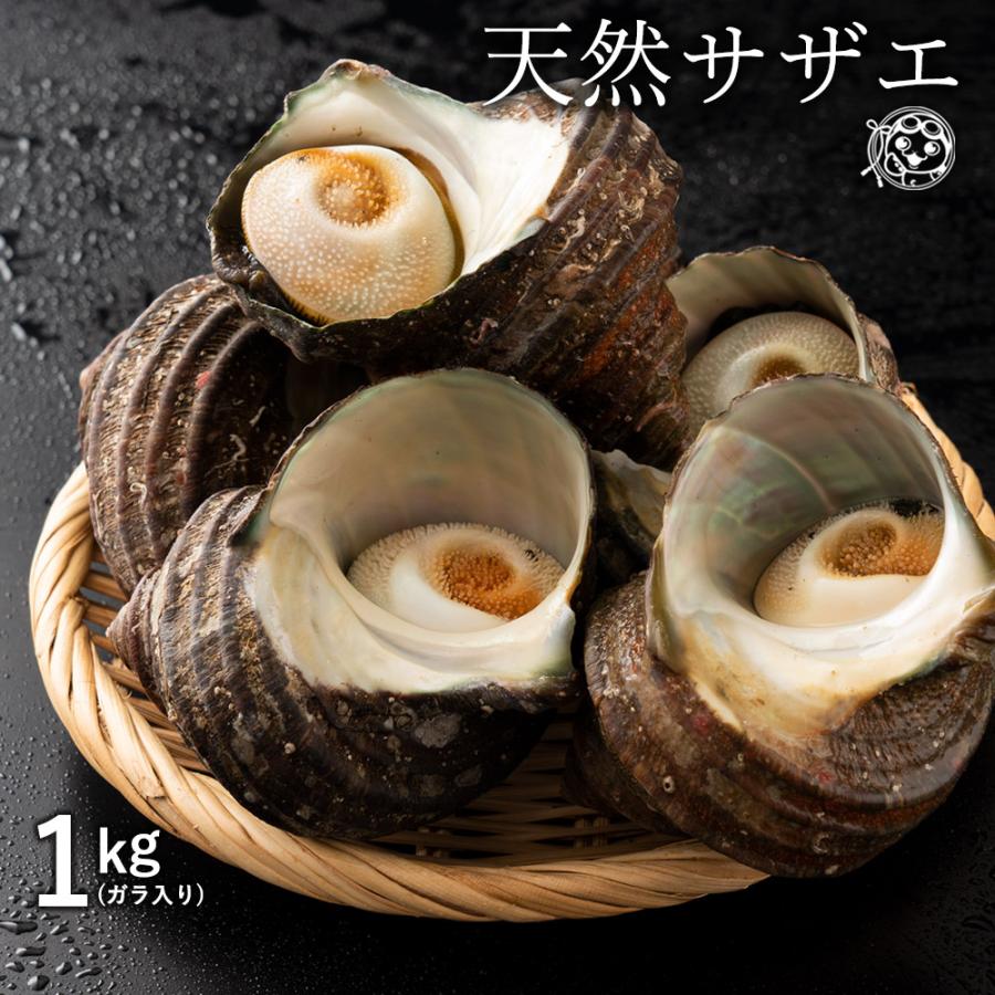 鮮魚 直送 サザエ さざえ 殻入り 1kg 4〜5個 天然 香川県産 冷蔵 海鮮 バーベキュー BBQ 壺焼き 貝類 グルメ :I21000132:ぼくの玉手箱屋ー 通販 最安値に挑戦!天然サザエ 日本海から新鮮なプリプリサザエをお届け!約3kg(22〜40個位)