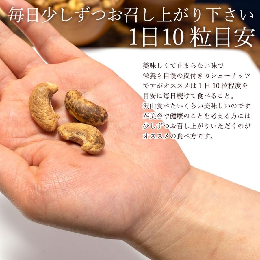 カシューナッツ 送料無料 皮付き 塩あり 1kg 500g 2 ベトナム産 有塩 ロースト 大粒 オレイン酸 カリっと香ばしい 訳あり I21000324 ぼくの玉手箱屋ー 通販 Yahoo ショッピング