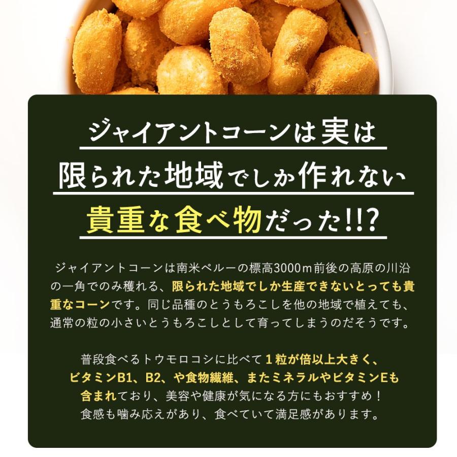 お菓子 ジャイアントコーン 500g 250g×2 全13種類から選べる おつまみジャイコンズ スナック 有塩 送料無料 おつまみ おやつ ポイント利用 | 大浜スイーツアカデミー | 04