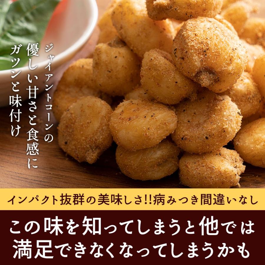 お菓子 ジャイアントコーン 500g 250g×2 全13種類から選べる おつまみジャイコンズ スナック 有塩 送料無料 おつまみ おやつ ポイント利用 | 大浜スイーツアカデミー | 05