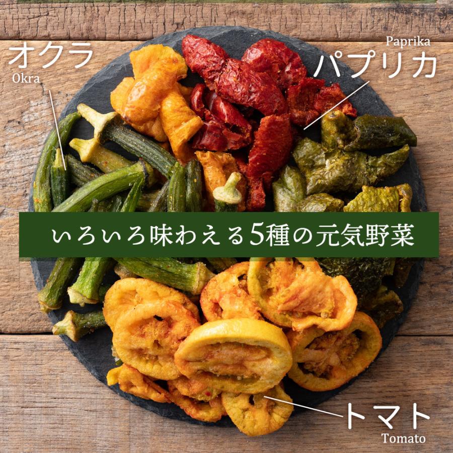 お菓子 送料無料 野菜チップス 野菜スナックフレッシュベジ太のかご盛り野菜チップス 120g×2 スナック菓子 野菜 ベジタブル SALE セール｜bokunotamatebakoya｜13