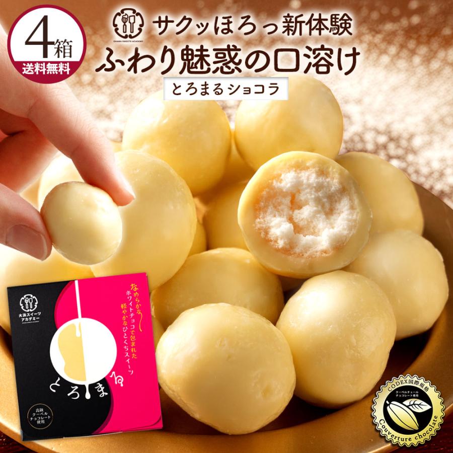 大浜スイーツアカデミー チョコ チョコレート 「クーベルチュールの