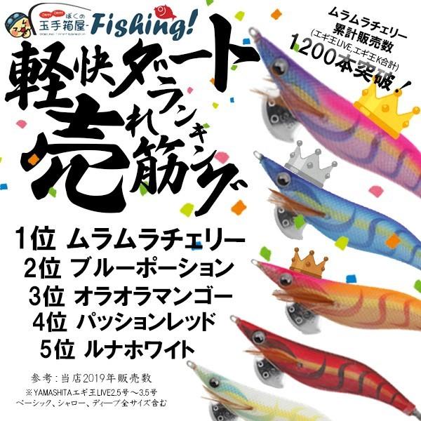 もらって嬉しい出産祝い ヤマシタ エギ王 2 5号 1 5号 フルセット 合計28本まとめ売り ルアー用品 スポーツ レジャー 11 533 Www Dawajen Bh