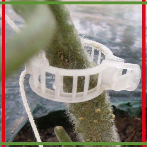 とまとさま専用 トマトパック 横181×縦130×高さ64mm 900枚 : 日本農業システム