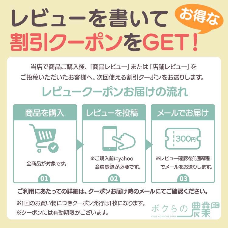 法人宛のみ宅配可 コンバインゴムクローラ 300mm幅×84ピッチ オフセット コマ数35 YO3084 OFパターン 1本｜bokunou｜02