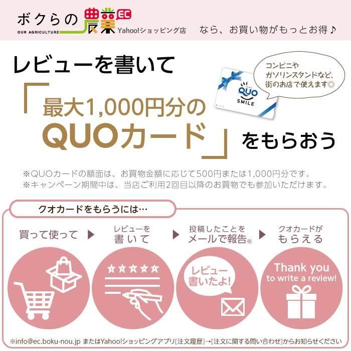 静岡製機 灯油ヒーター用 エレメント / 静岡精機｜bokunou｜02