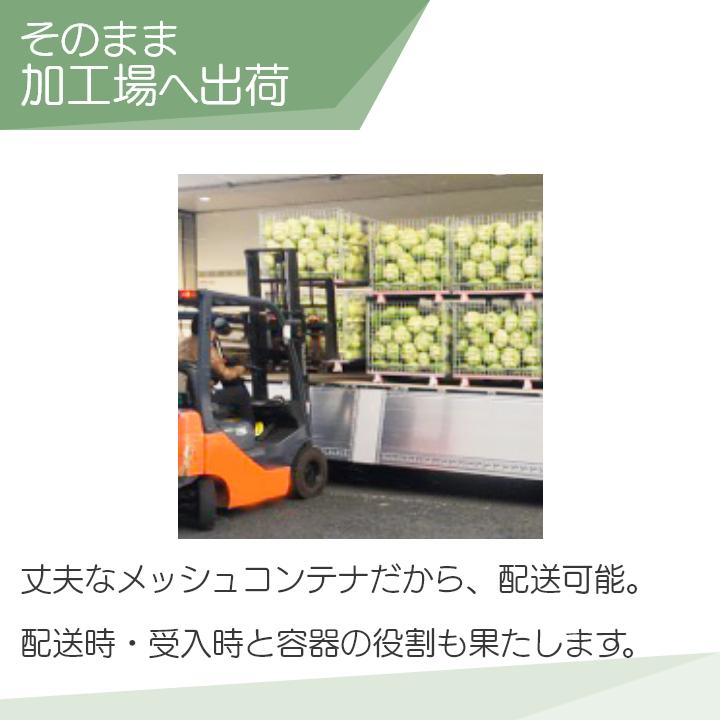 農産用 鉄コンテナ MC-1-100 キャベツ たまねぎ 大根 前後全開 農産用 鉄コンテナ MC-1-100 キャベツ たまねぎ 大根 前後全開