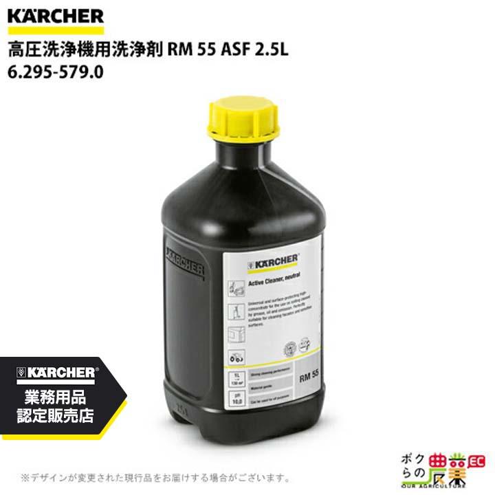 ケルヒャー（KARCHER） 洗浄剤 6.295-579.0 高圧洗浄機用 2.5L 高圧