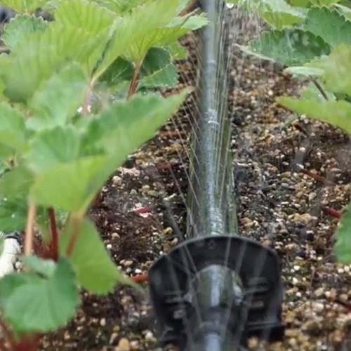 住化農業資材 灌水チューブ ネオドリップウエシタ04L WB9006 200M × 3