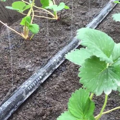 住化農業資材 灌水チューブ ネオドリップウエシタ04L WB9006 200M × 3