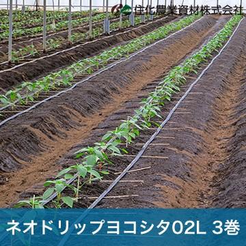 住化農業資材　灌水チューブ　ネオドリップヨコシタ02L　潅水　散水幅0.4M　WB9020　200M×3巻　散水　ハウス向け　農業用