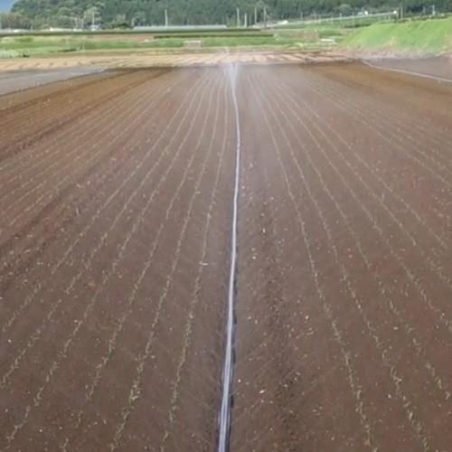 住化農業資材 灌水チューブ スミサンスイR露地ワイド WB1040 100M × 2