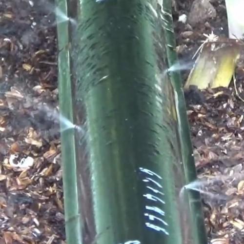 住化農業資材 灌水チューブ ミストエース35ダブルウィング WB8401 100M