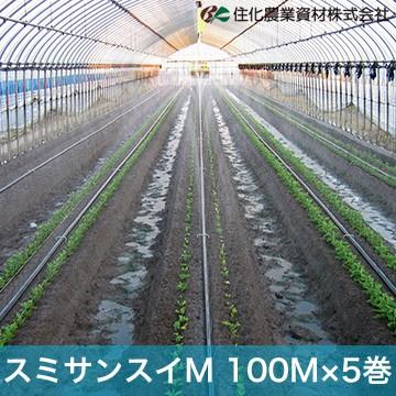 住化農業資材 灌水チューブ スミサンスイM WB1010 100M × 5巻 ハウス