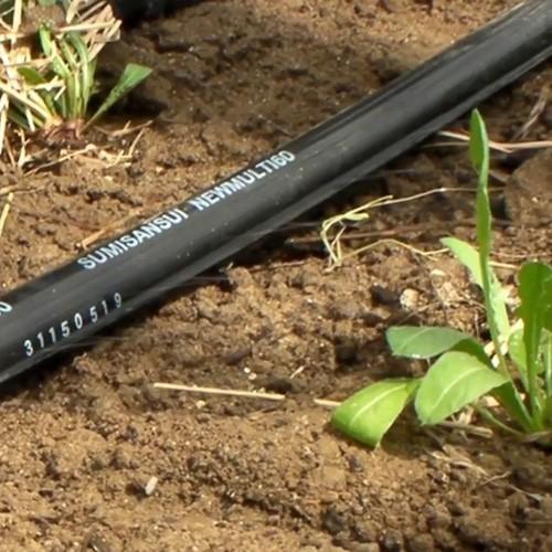 住化農業資材 灌水チューブ スミサンスイNEWマルチ60 WB8038 100M × 5